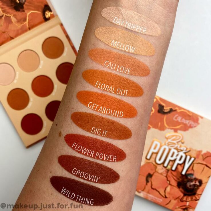 ColourPop Big Poppy 9色日落眼影盤