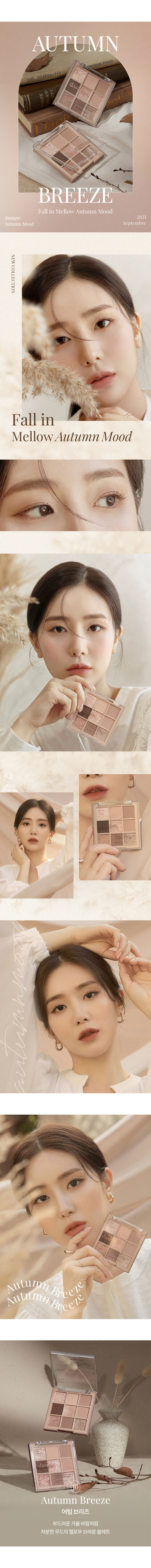 dasique Shadow palette #10 Autumn Breeze 9色眼影盤