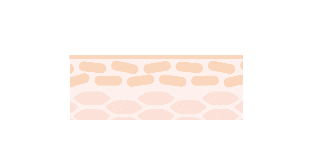 韓國Round Lab Birch Juice Moisturizing Cream 白樺樹保濕面霜 - 80ml