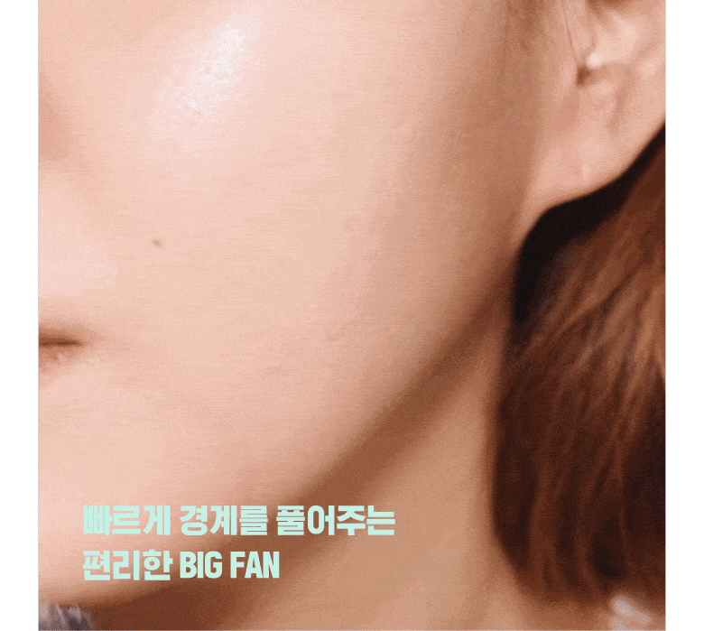 韓國皇牌 FilliMilli Big Fan Brush 851 大號扇型修容掃