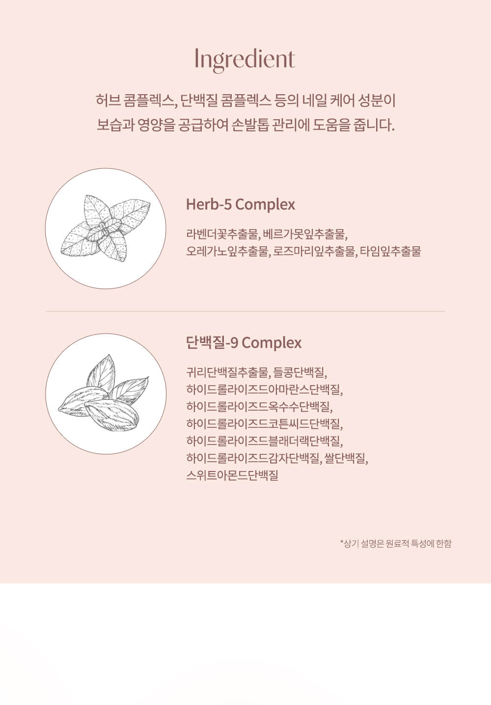 韓國 dasique Syrup Nail Color 蜜桃糖漿指甲油 - 5色選擇