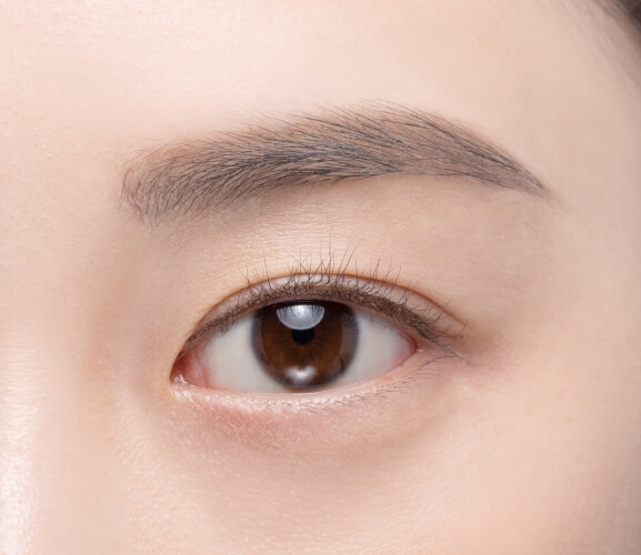 Clio Kill Brow Auto Hard Brow Pencil 雙頭平頭眉筆 - 001 Natural Brown