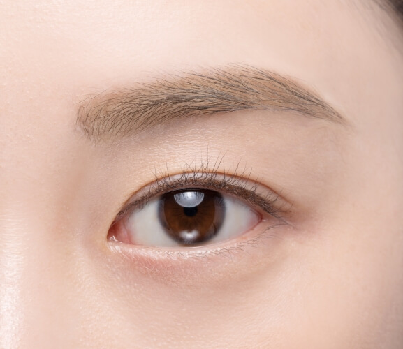 Clio Kill Brow Auto Hard Brow Pencil 雙頭平頭眉筆 - 003 Peanut Brown