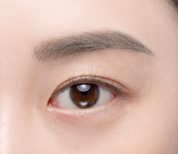 Clio Kill Brow Auto Hard Brow Pencil 雙頭平頭眉筆 - 005 Gray Brown