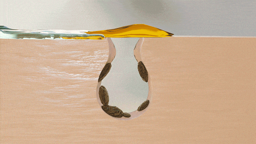 【士多啤梨鼻救星】韓國 One-day's you No More Black Head Pore Clearing Duo 清黑頭白頭毛孔深層清潔液