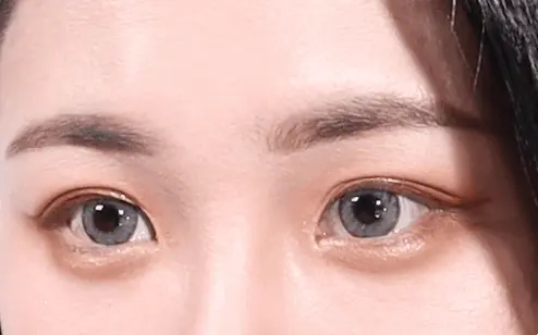 韓國 CORINGCO TokTok Hara Filter Eyelash 仙女單株假眼睫毛 - 多款選擇