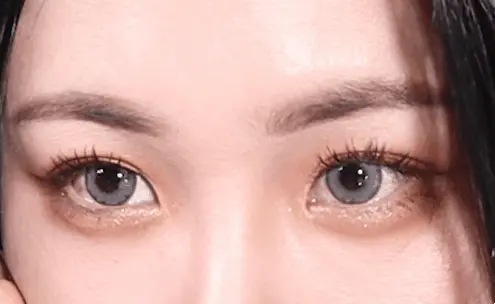 韓國 CORINGCO TokTok Hara Filter Eyelash 仙女單株假眼睫毛 - 多款選擇