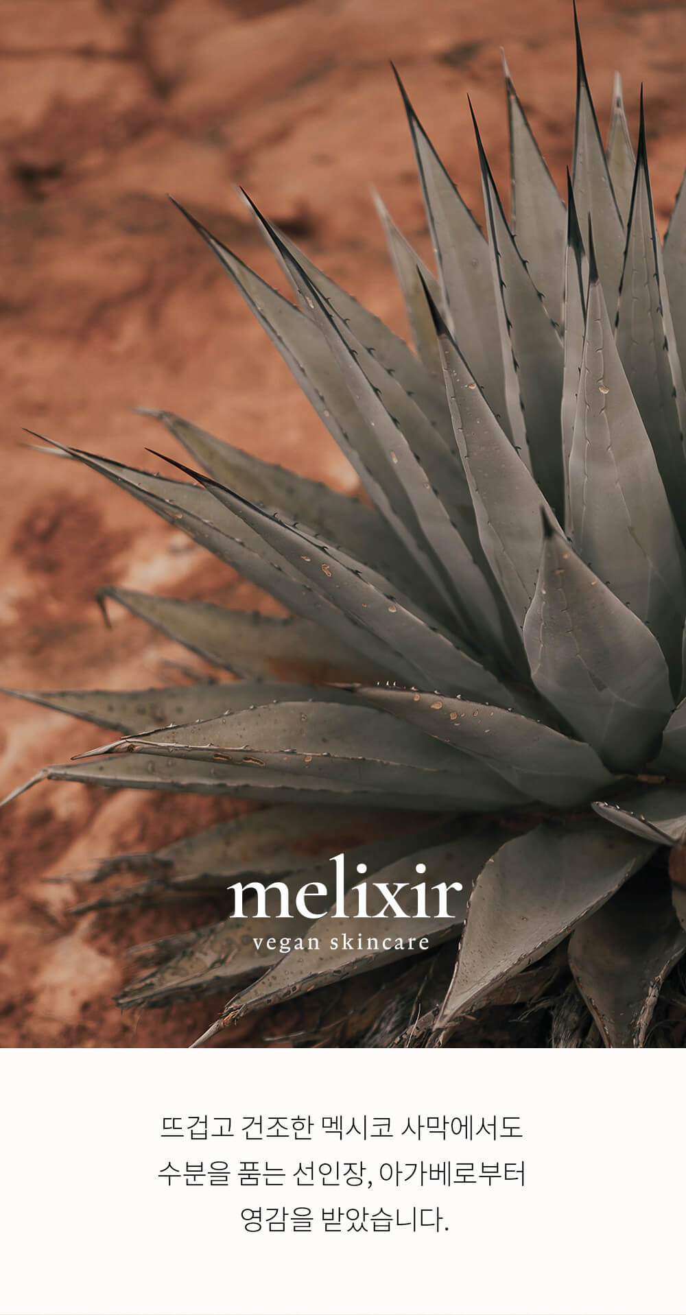 韓國Melixir Vegan Lip Butter 純素天然草本滋養有色潤唇膏 - 多色選擇
