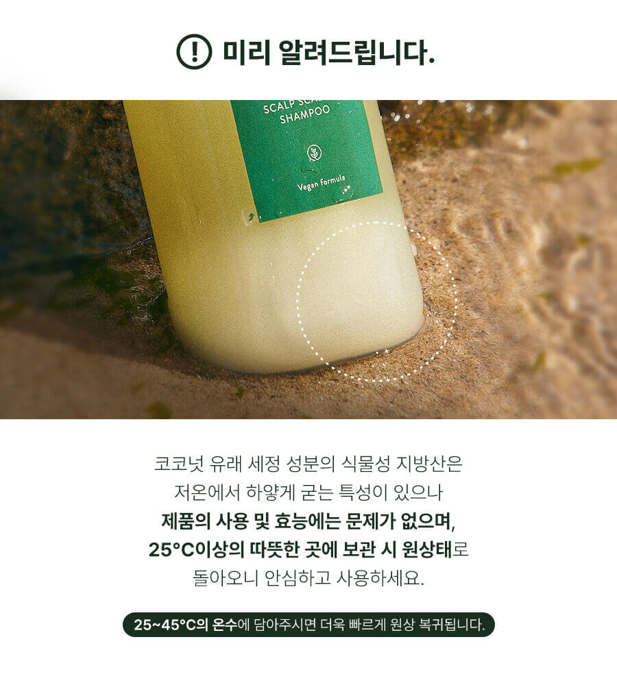 韓國 Aromatica Rosemary Scalp Scaling Shampoo 迷迭香去頭皮防脫純素洗頭水