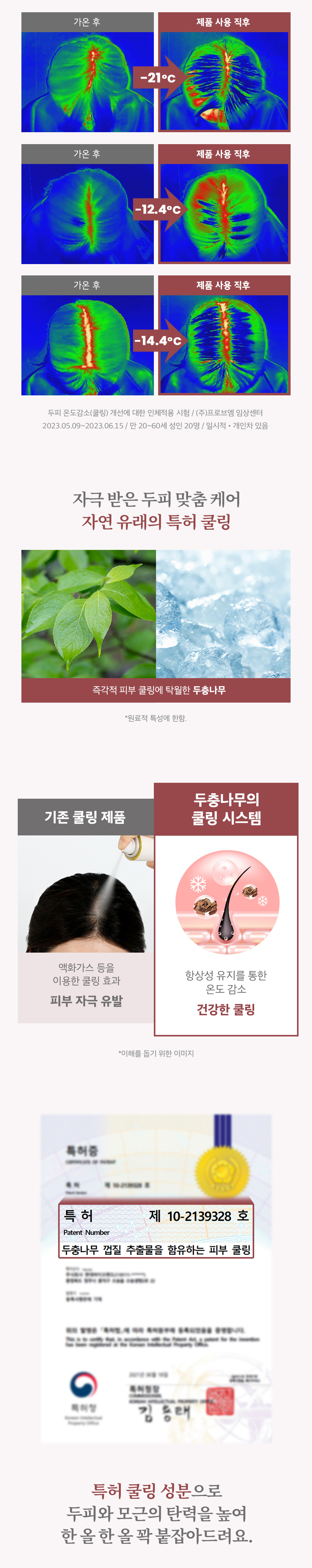 韓國 B Project Stay Hair Scalp Intensive Ampoule 頭皮髮根集中修護生髮精華 - 100ml