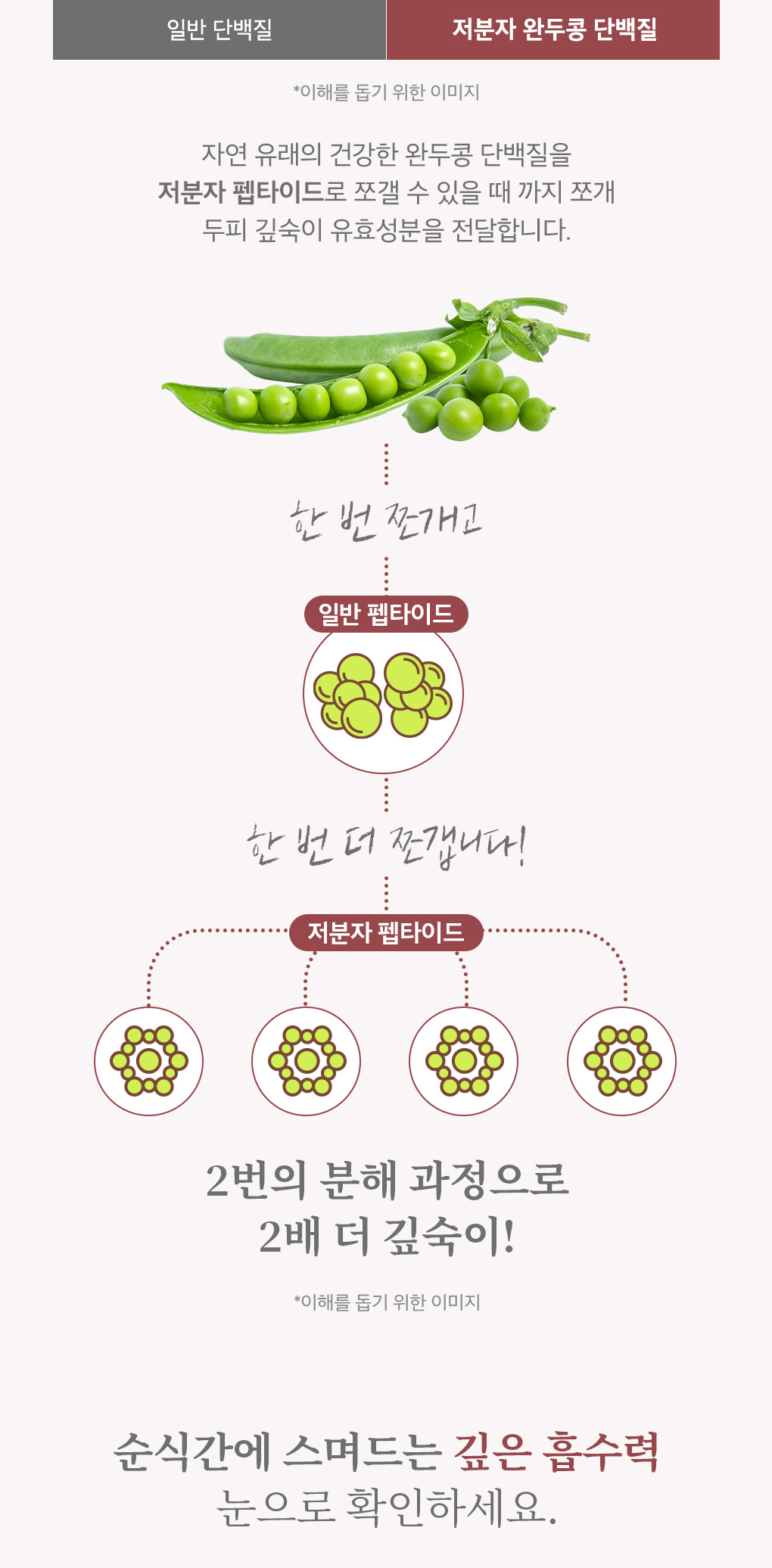 韓國 B Project Stay Hair Scalp Intensive Ampoule 頭皮髮根集中修護生髮精華 - 100ml