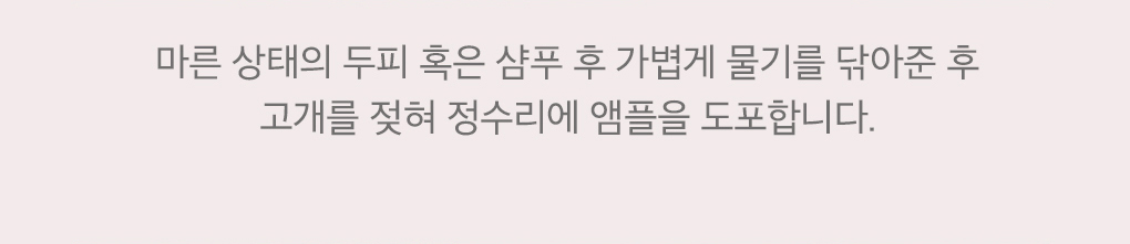 韓國 B Project Stay Hair Scalp Intensive Ampoule 頭皮髮根集中修護生髮精華 - 100ml