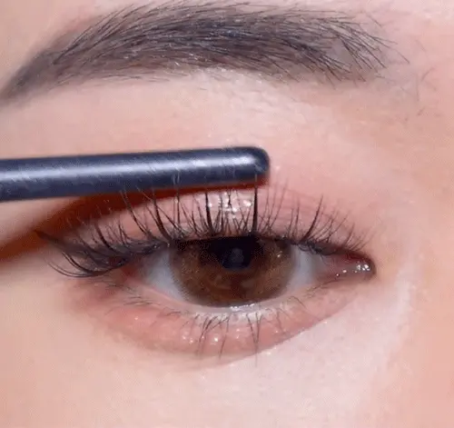 韓國 CORINGCO TokTok Hara W Eyelash 仙女單束假眼睫毛W型 – 多款選擇