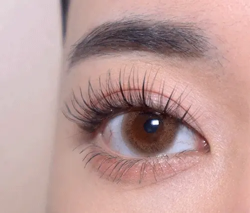 韓國 CORINGCO TokTok Hara W Eyelash 仙女單束假眼睫毛W型 – 多款選擇