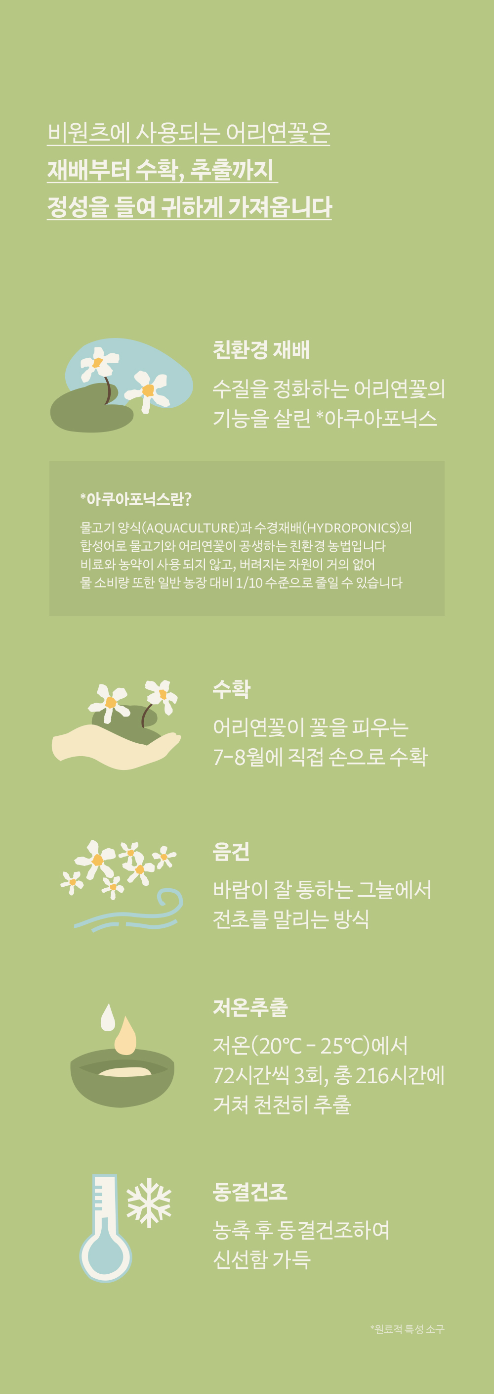 韓國 be wants Phyto Collagen Eye Serum Stick 純素膠原蛋白眼部精華舒壓滾珠棒