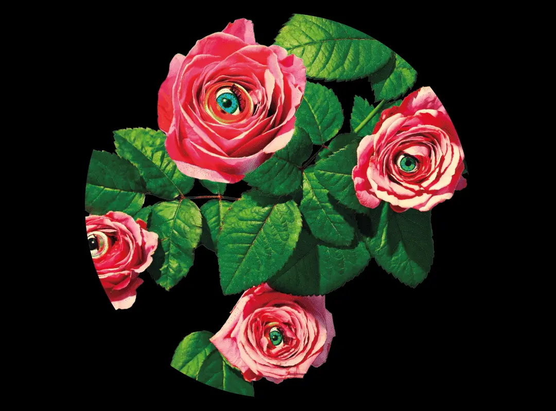 韓國 3CE聯名系列 [3CE X TOILETPAPER] 3CE Face Blush 柔霧單色胭脂 #Let Me Stay