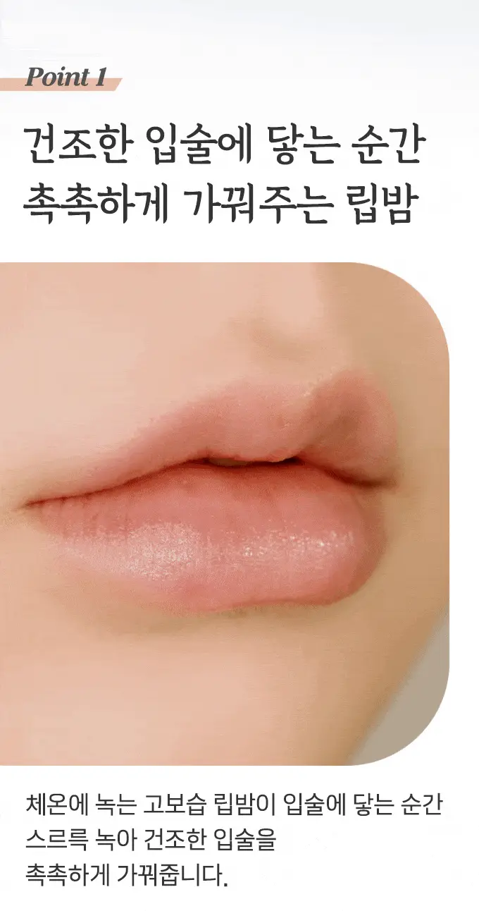 韓國 Etude House Ginger Sugar Lip Balm Stick 薑糖護唇修護唇膏