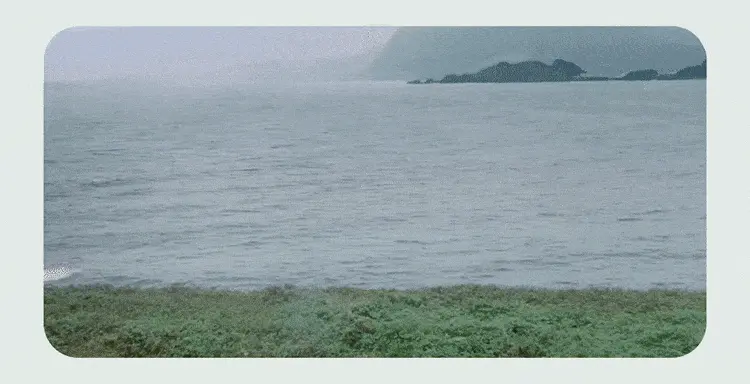 韓國 Hanyul 韓律 Pure Artemisia Calming Water Cream 純淨艾草舒緩高效保濕水凝膠面霜 - 50ml