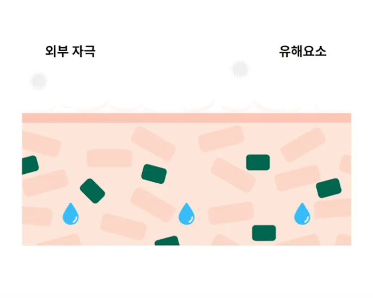 韓國 Hanyul 韓律 Pure Artemisia Calming Water Cream 純淨艾草舒緩高效保濕水凝膠面霜 - 50ml