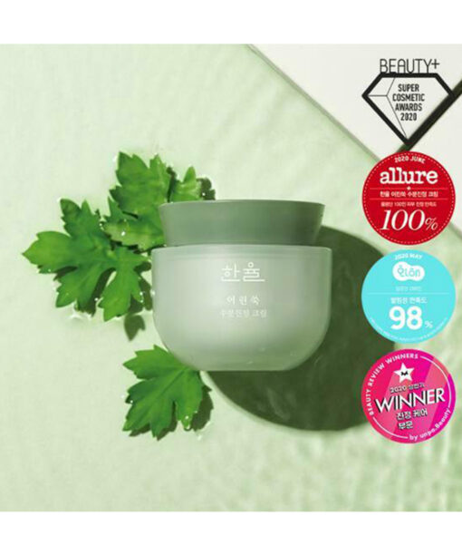 韓國 Hanyul 韓律 Pure Artemisia Calming Water Cream 純淨艾草舒緩高效保濕水凝膠面霜 - 50ml