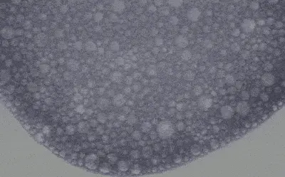 韓國 Hanyul 韓律 Pure Artemisia Cleansing Foam 純淨艾草舒緩高效保濕泡泡潔面乳 - 120g