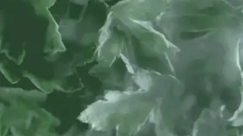 韓國 Hanyul 韓律 Pure Artemisia Cleansing Foam 純淨艾草舒緩高效保濕泡泡潔面乳 - 120g