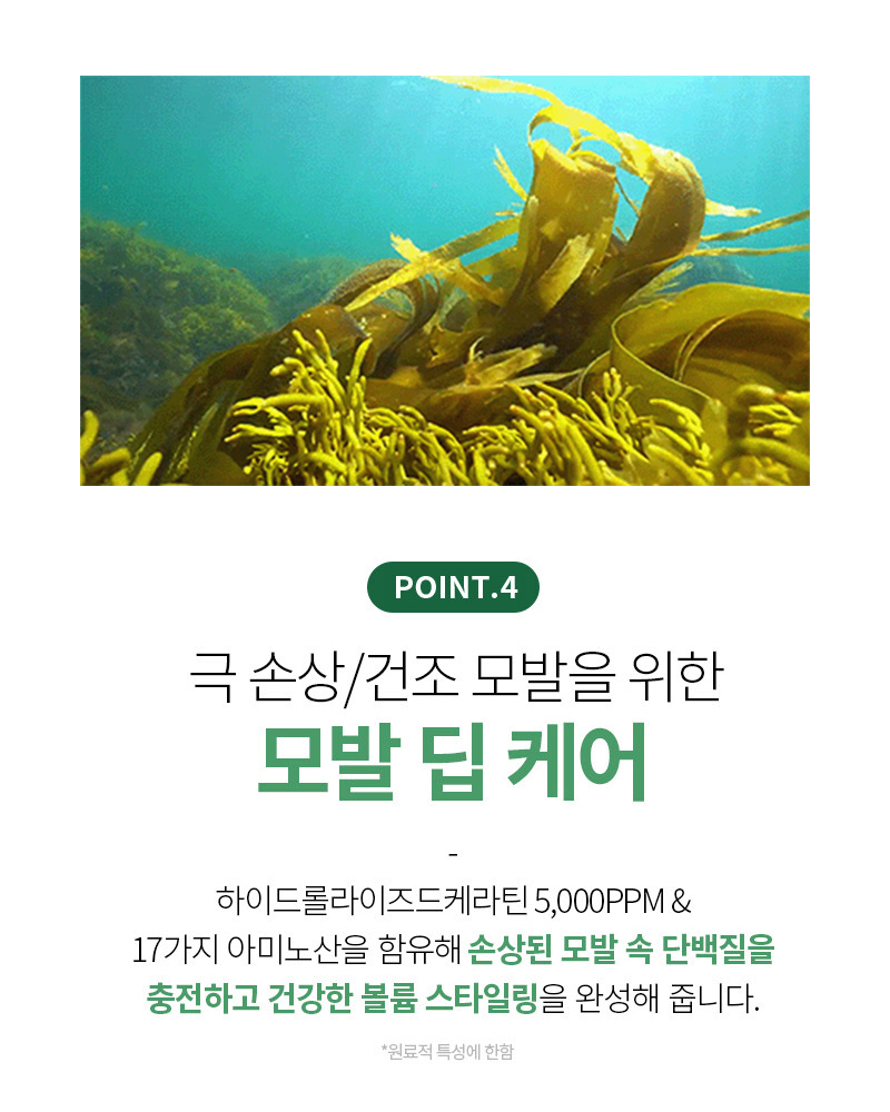 【新升級添加積雪草精華】JennyHouse Intensive No Wash Angeling Cream 免沖洗強效保濕蛋白護髮霜 - 150ml