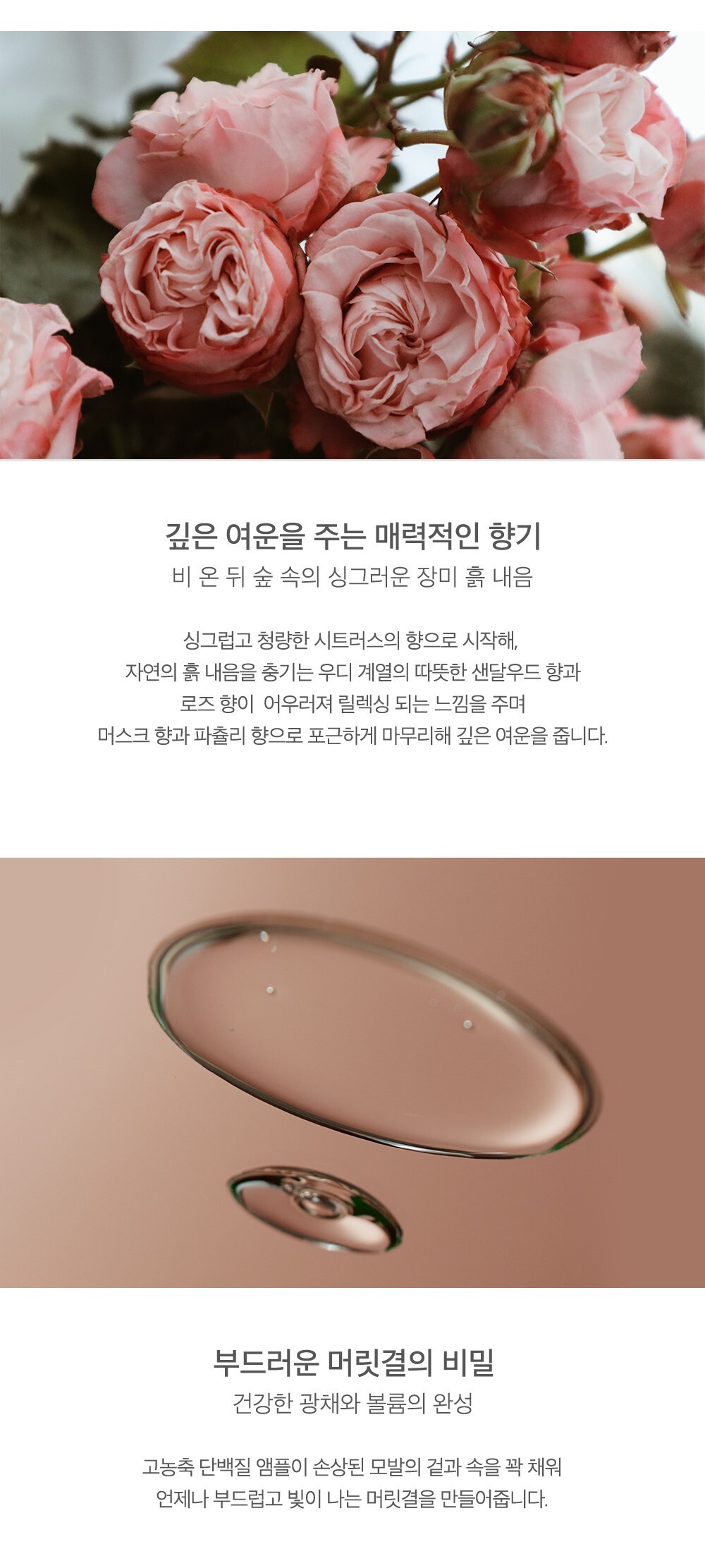 【新升級添加積雪草精華】韓國 JennyHouse Intensive Protein Ampoule 高效修護角蛋白安瓶 - 100ml