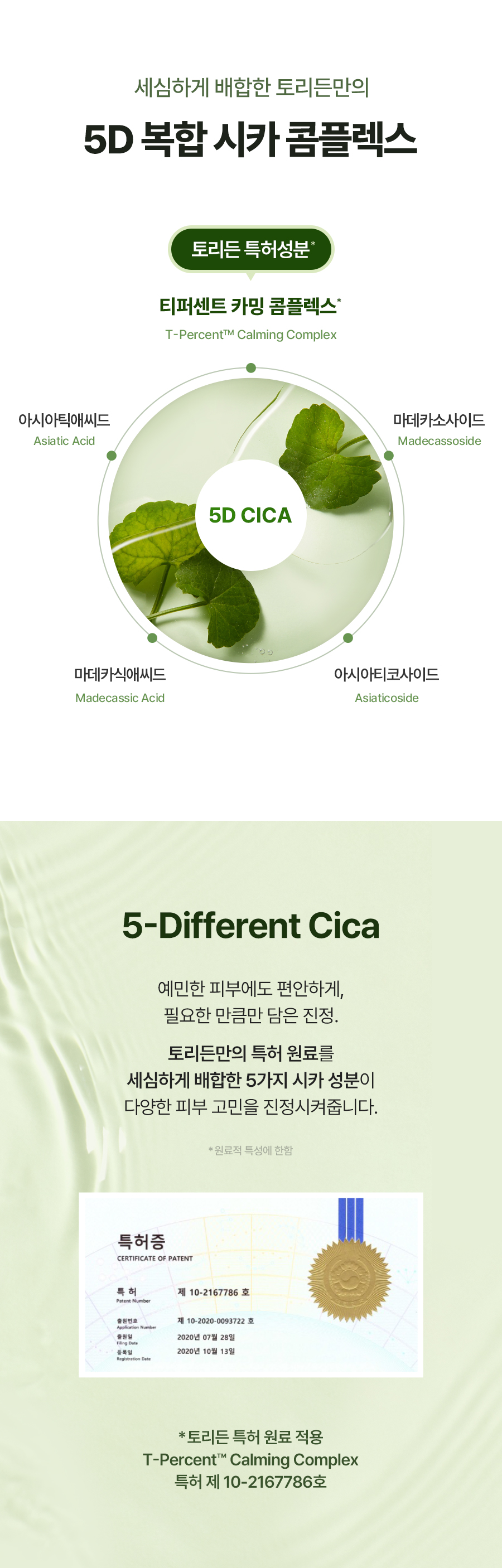 韓國 Torriden 💚 Balanceful Cica Toner Pad 積雪草爽膚棉片 - 60片