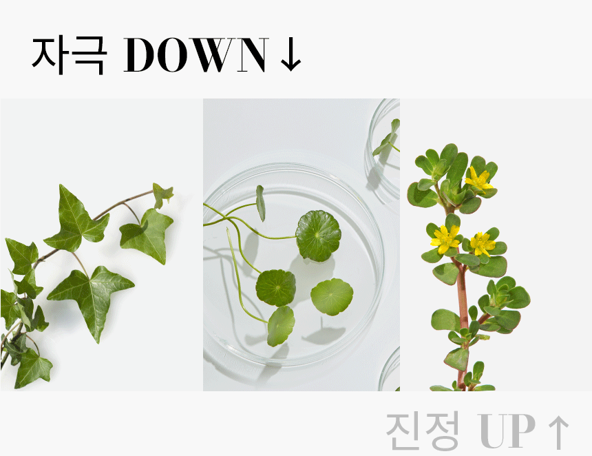 韓國 ilso Clean Mud Cream 深清滋養保濕奶霜收毛孔緊緻泥膜 - 100g