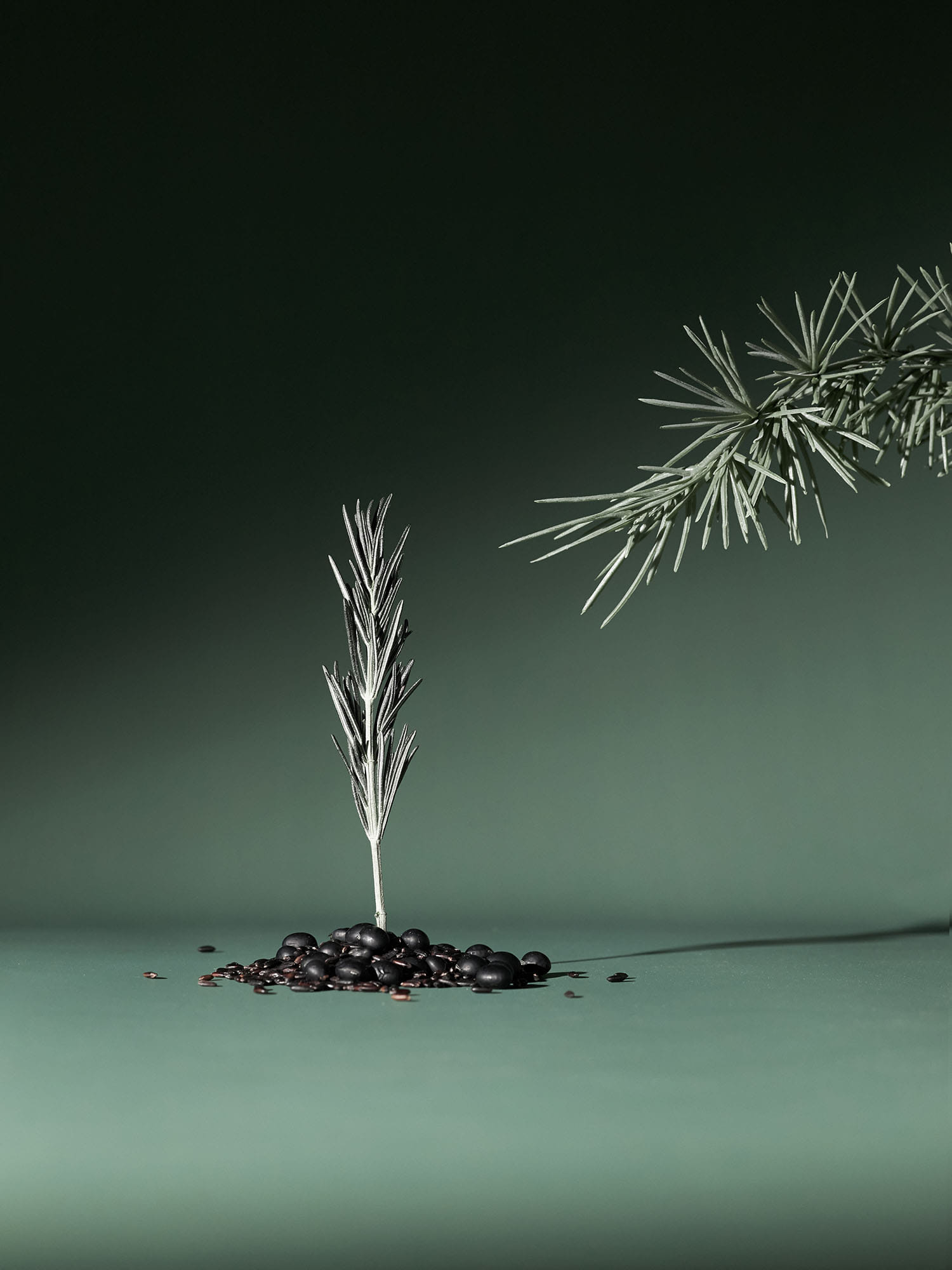 韓國Aromatica Rosemary Active V Anti-Hair Loss Tonic 迷迭香Premium 系列防脫髮育髮無矽純素頭皮噴霧 - 100ml