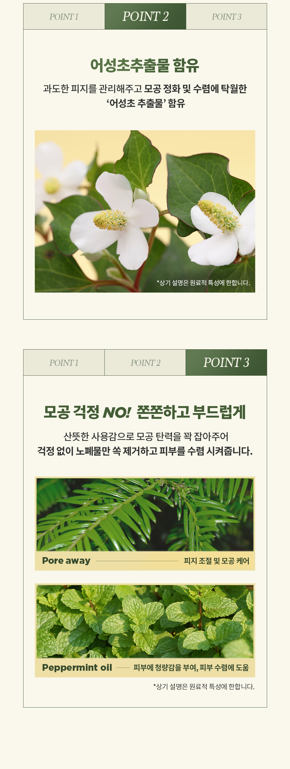 韓國 BYECOM Heartleaf Blackhead Cleaner 魚腥草清黑頭收毛孔黑頭導出液