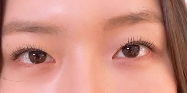 韓國清漂洞化妝愛用！CCAM BBAK Original Eyelash 分束式假眼睫毛 (8mm - 12mm) - 多款選擇