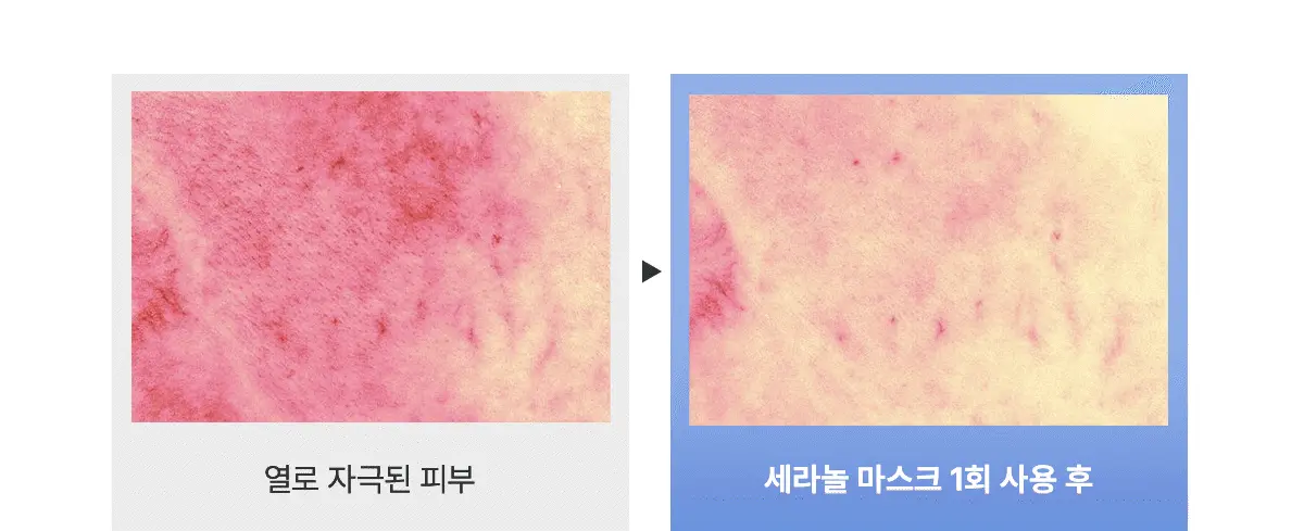 韓國 Biodance Hydro Cera-nol Real Deep Mask 透明質酸冰川水神經酰胺深層保濕果凍面膜 – 兩款選擇