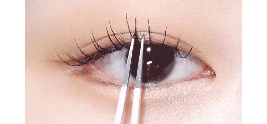 韓國CCAM BBAK Tweezer 睫毛夾(精細尖頭/扁圓頭/斜角) - 3款選擇