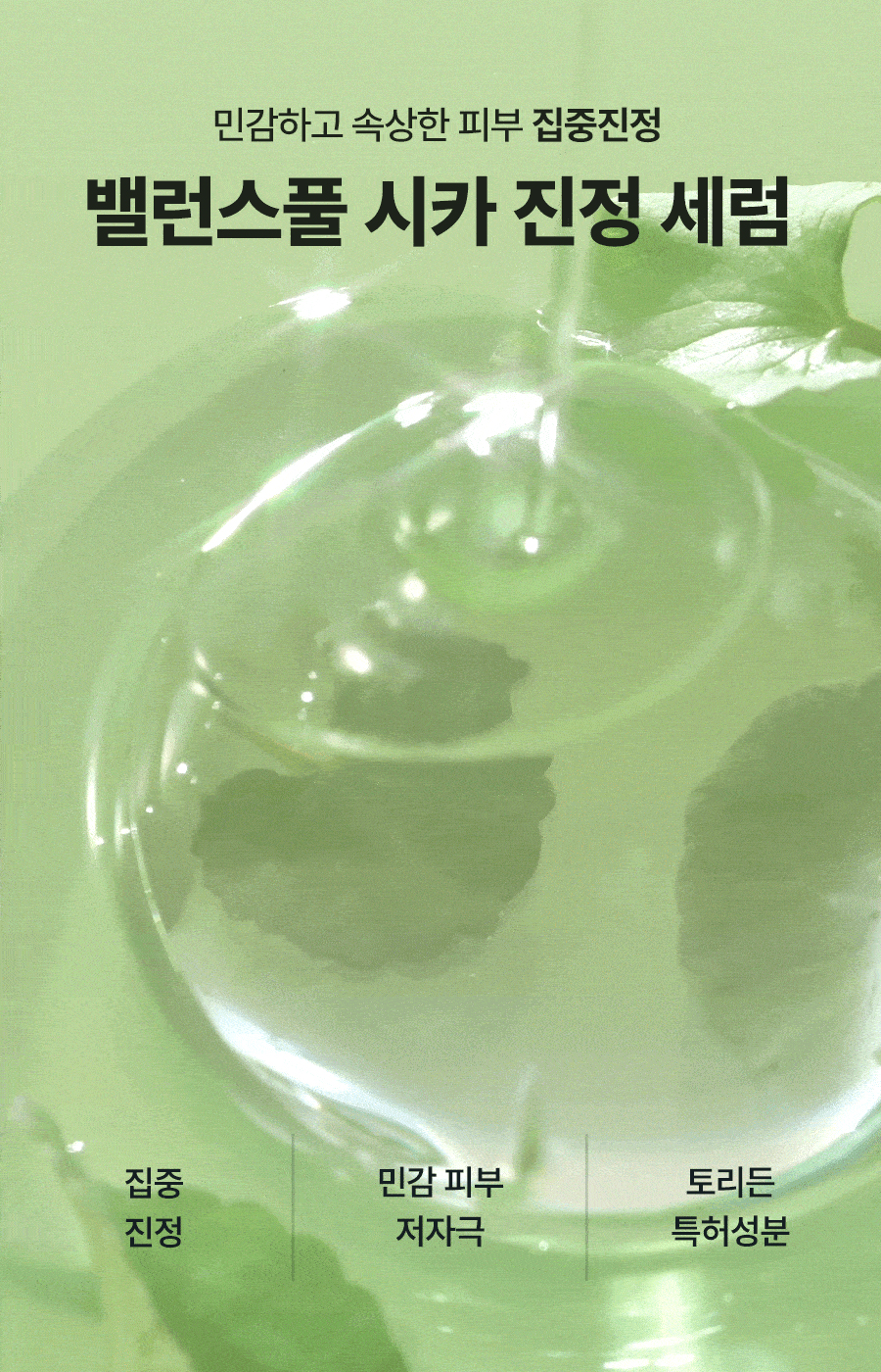 油肌混油肌~韓國 Torriden 💚 Balanceful Cica Serum 積雪草保濕鎮靜精華 - 50ml