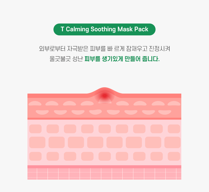 韓國 Natural Base T Calming Soothing Mask Pack 有機茶樹積雪草鎮靜面膜 10片裝〔最新包裝〕