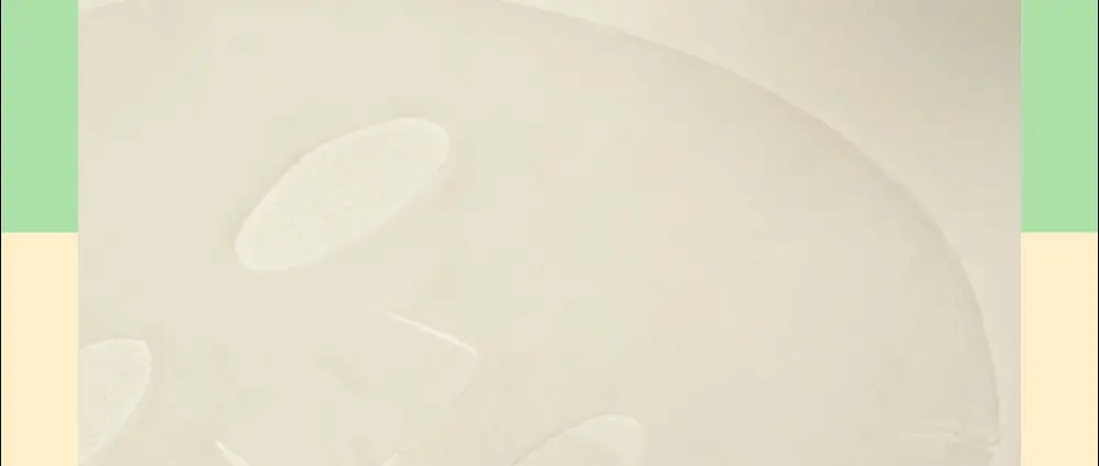 韓國 Be Plain CICAFUL Calming Mask 積雪草保濕鎮靜純素面膜 - 1盒10片裝