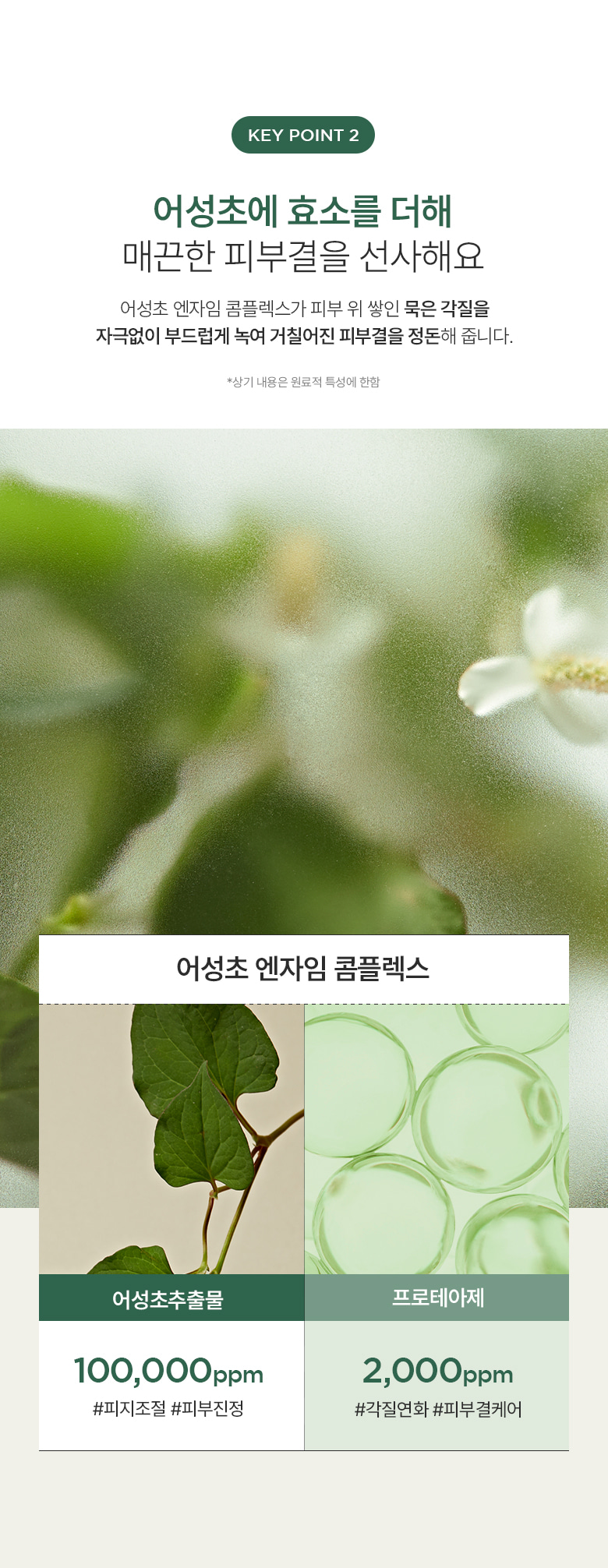 3分鐘角質管理 ✰ 韓國 Clean Beauty ANUA Heartleaf。Pore Clay Pack 魚腥草深清收毛孔泥膜 - 100ml