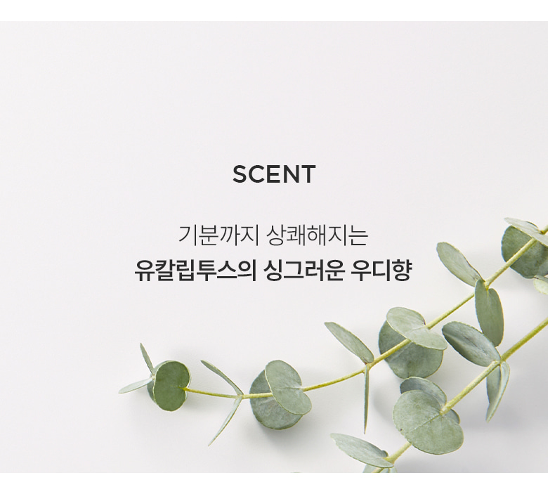 3分鐘角質管理 ✰ 韓國 Clean Beauty ANUA Heartleaf。Pore Clay Pack 魚腥草深清收毛孔泥膜 - 100ml