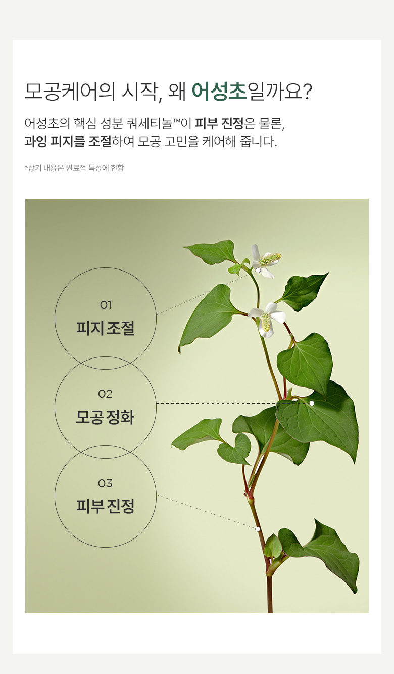 3分鐘角質管理 ✰ 韓國 Clean Beauty ANUA Heartleaf。Pore Clay Pack 魚腥草深清收毛孔泥膜 - 100ml