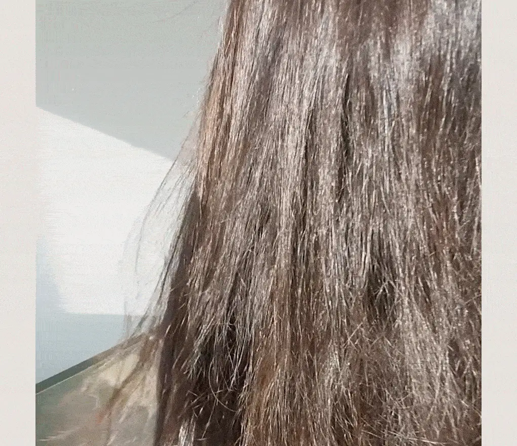 韓國 Clean Beauty配方 ✰ 清爽不黏 ✰ B Project Stay Hair Recover Treatment Oil 抗熱防毛躁開叉急救修護天然純素髮尾油