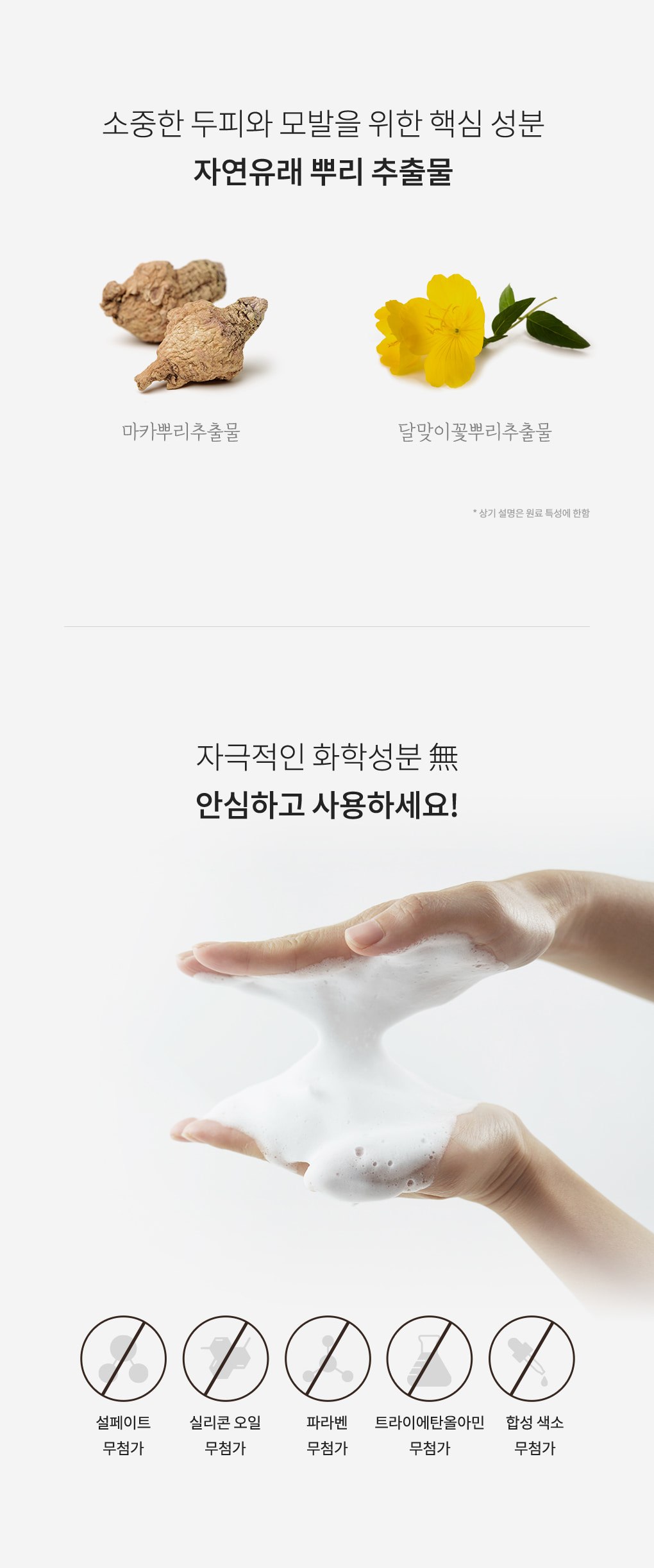 韓國 CURLYSHYLL Root Remedy Oily Scalp Shampoo 髮根頭皮護理洗髮露(油性) - 330ml