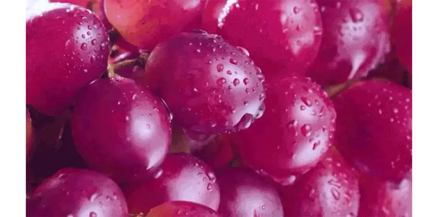 韓國 Milk Touch Five Flower Dark Spot Clearing Serum 💗花漾光滑美白淡斑精華💗 - 40ml