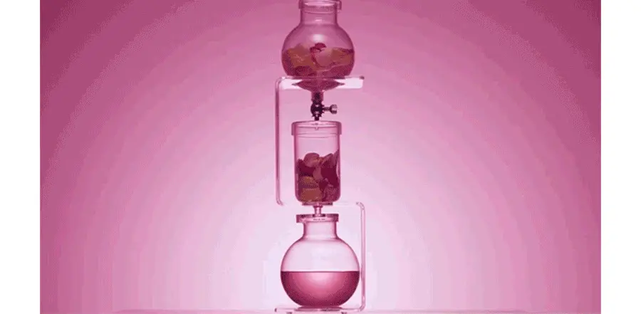 韓國 Milk Touch Five Flower Dark Spot Clearing Serum 💗花漾光滑美白淡斑精華💗 - 40ml