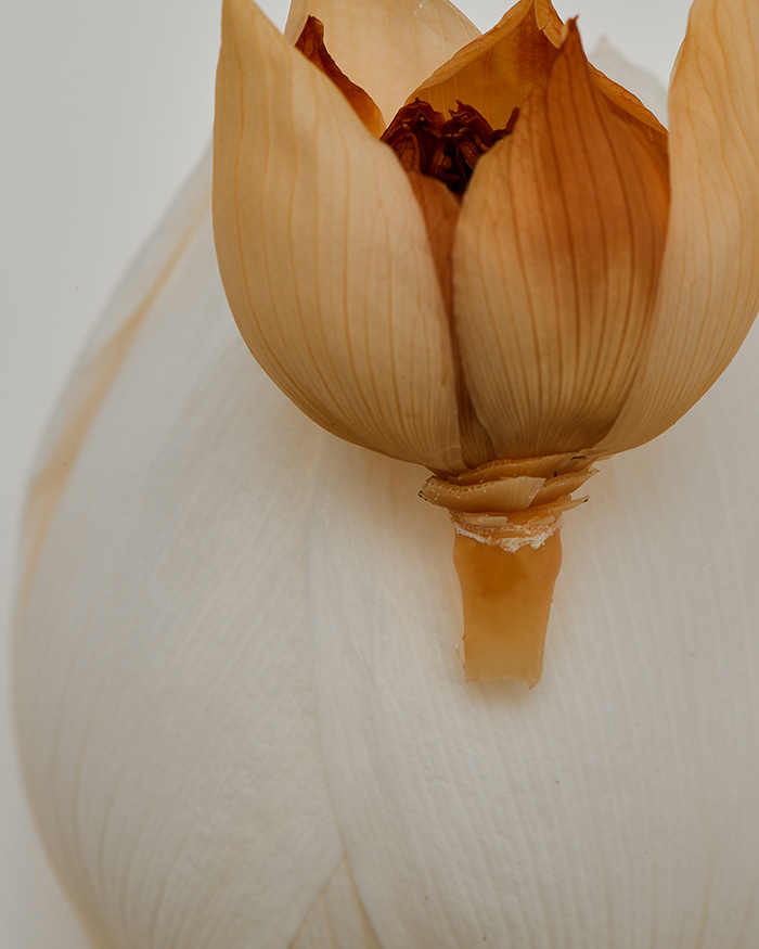 韓國明星御用髮型師自家品牌 CHAHONG Intensive Repair Hair Pack 深層護膚急救髮膜 - 45ml