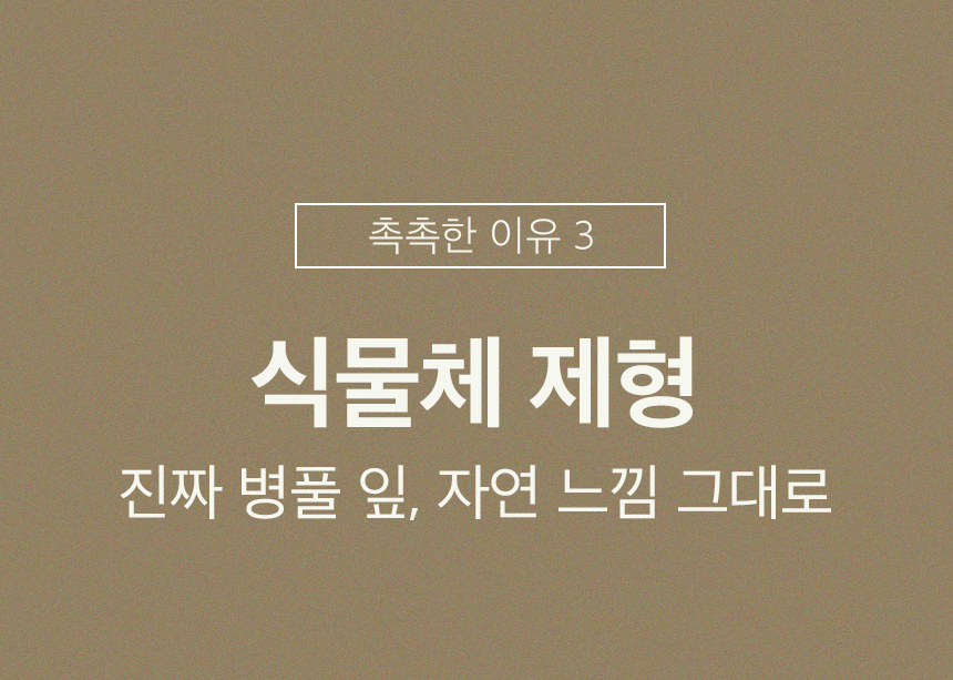 韓國 One Thing Centella Asiatica Serum 積雪草精華液 - 30ml