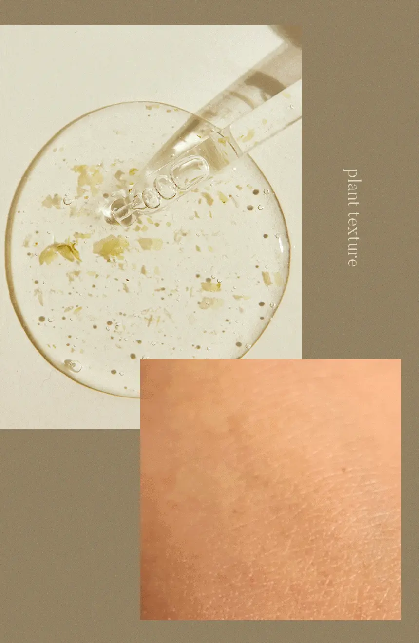 韓國 One Thing Centella Asiatica Serum 積雪草精華液 - 30ml
