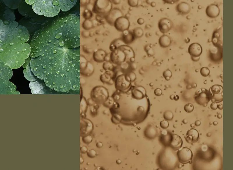 韓國 One Thing Cica Soothing Mask 積雪草舒緩面膜 5片裝