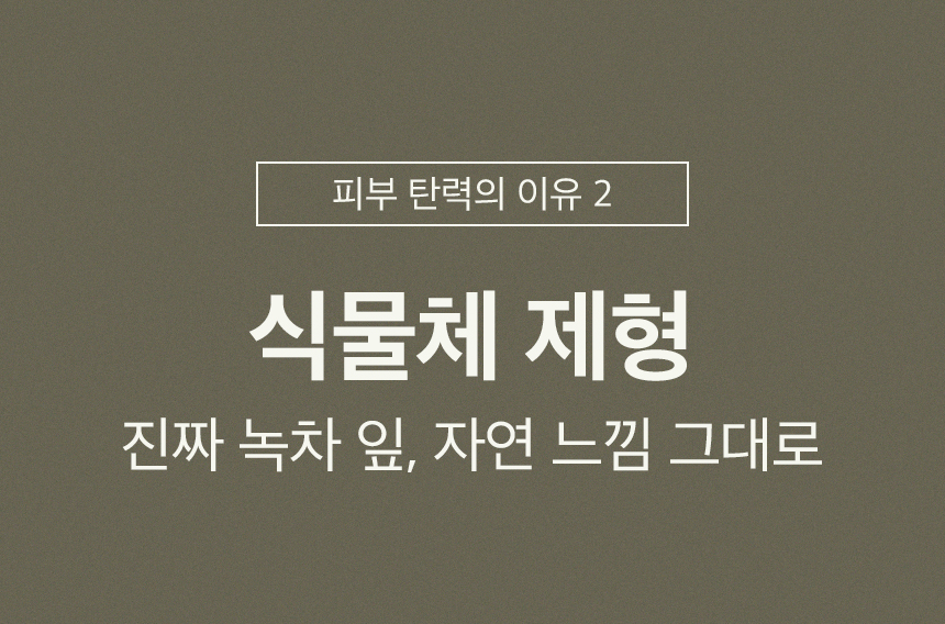 改善細紋~ 韓國 One Thing Green Tea Serum 綠茶抗老抗氣化精華液 - 30ml